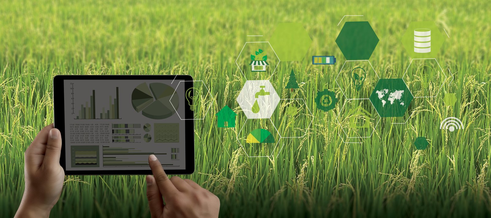 Agriculture & AgriTech